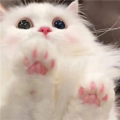 Siti Rahmawati avatar